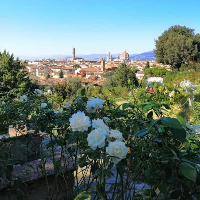Apartment Bianca Florenz